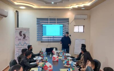 Capacity Building of Emerging Organizations