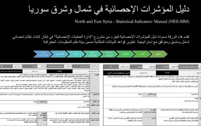 Consultation: Statistical Indicators Guide in Northeast Syria